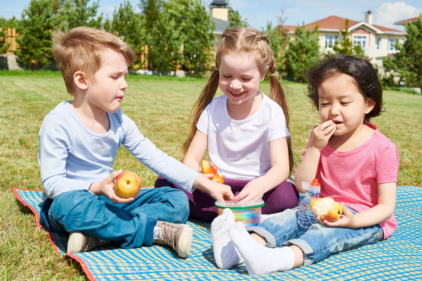 Portrait of three cute little children sitting on blanket enjoying picnic on green lawn of front yard on sunny Summer day - 写真・画像