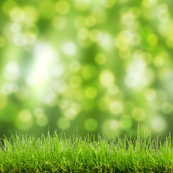 zöld fű és a bokeh fények - Fotó, kép