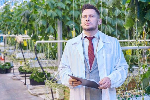 Портрет гарного вченого в лабораторному пальто впевнено тримає буфер обміну в теплиці на сучасній овочевій фермі
 - Фото, зображення