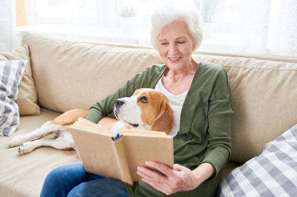 Portret szczęśliwy senior kobiety korzystających z wolnego czasu w domu siedzi na wygodne kanapy z psa w jej łono i czytanie książki - Zdjęcie, obraz