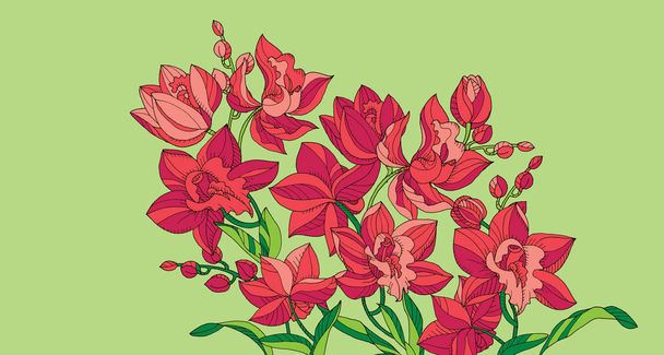 Σκίτσο στυλ γραμμή-art ροζ ορχιδέα λουλούδια  - Διάνυσμα, εικόνα