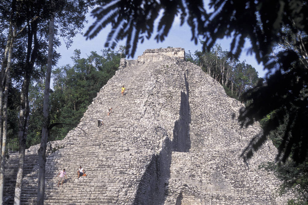 Mexique, Coba - Janvier 2009 : Les ruines mayas avec la pyramide Nohoch Mul de Coba dans la province Quintana Roo au Mexique en Amérique centrale
. - Photo, image