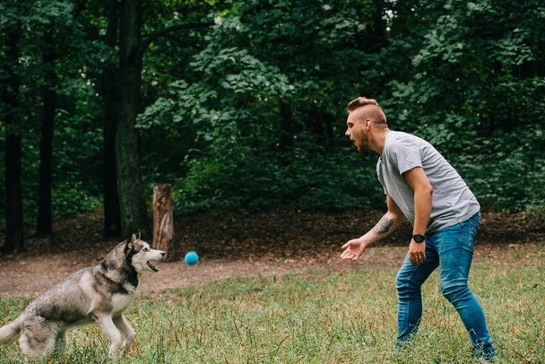 giovane uomo che lancia palla al cane husky nel parco
 - Foto, immagini