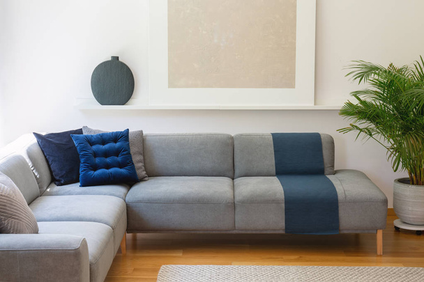 Blue pillows on grey corner couch in living room interior with plant and silver painting. Real photo - Φωτογραφία, εικόνα