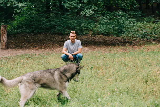 όμορφος άντρας παίζει με Σιβηρικό γεροδεμένο σκύλο στο πάρκο - Φωτογραφία, εικόνα