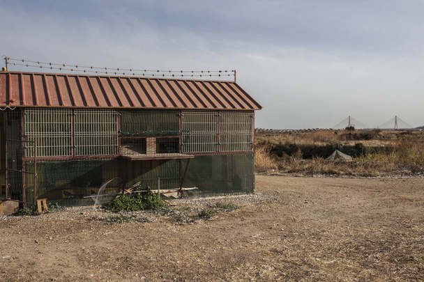 Homing loft piccione vicino al confine spagnolo-portoghese, Vila Real de Santo Antonio periferia, Portogallo
 - Foto, immagini