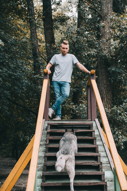 νεαρός άνδρας με το Σιβηρικό γεροδεμένο σκυλί στις σκάλες στο πάρκο - Φωτογραφία, εικόνα