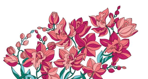 Estilo esboço linha-arte flores de orquídea rosa
  - Vetor, Imagem