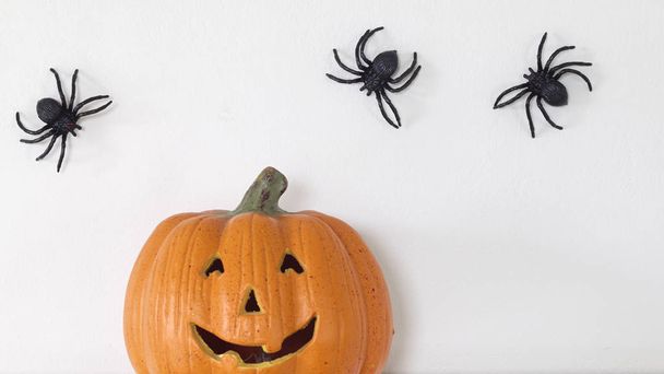 Domu dekoracje Halloween dynia z pająków i bat na tle białej ściany, minimalne pojęcie, płaski widok świeckich, najlepsze, naturalne światło - Zdjęcie, obraz