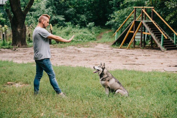 mężczyzna powodzenie polecenia siedzieć z psem husky syberyjski w parku - Zdjęcie, obraz