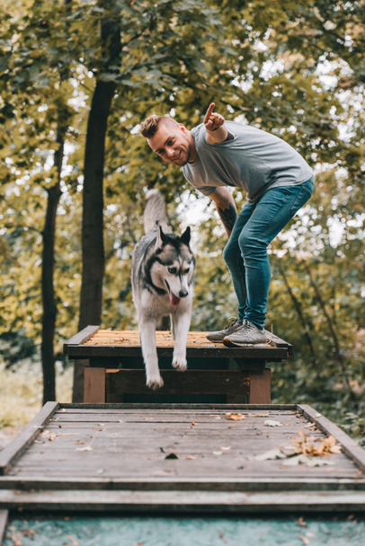dog trainer with jumping husky on obstacle - Photo, Image