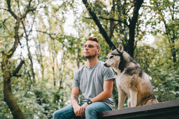 pohledný muž s sibiřský husky pes sedí v parku - Fotografie, Obrázek