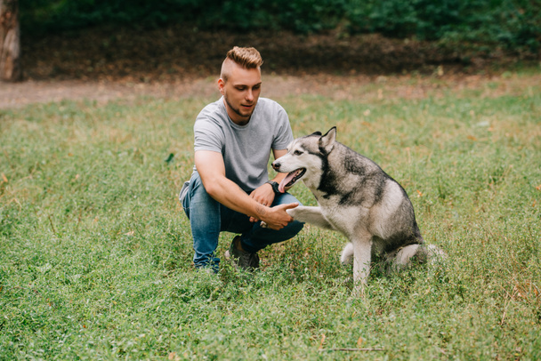 cynologist playing with siberian husky dog in park - Fotó, kép