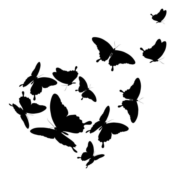 siluetas negras de mariposas aisladas sobre fondo blanco
 - Foto, Imagen