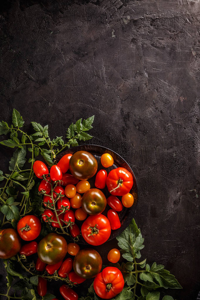 Varieties of colorful tomatos on black background - Фото, зображення