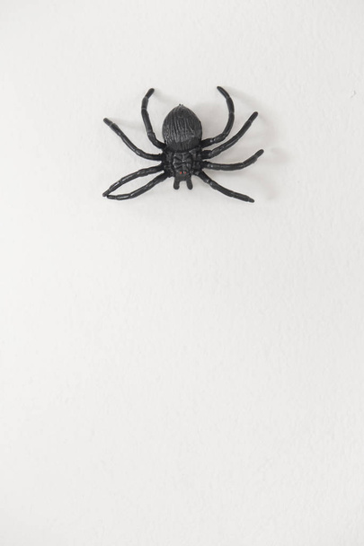 Gran araña de juguete negro aislado sobre un fondo blanco para Halloween
 - Foto, imagen