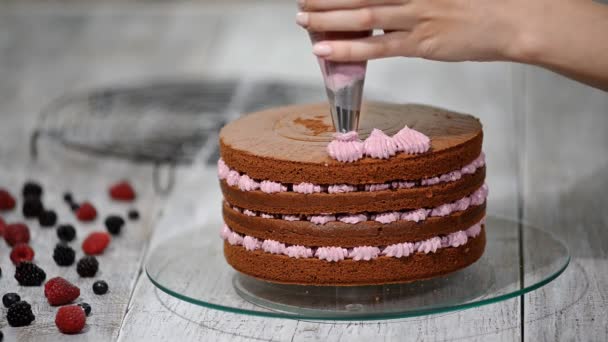 Προετοιμασία καθιστώντας κέικ σοκολάτας με μούρα. Γυναικείο χέρι διακοσμούν κέικ. - Πλάνα, βίντεο