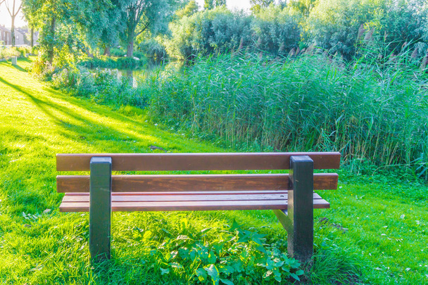 banco de parque marrón en el parque con césped de hierba y caña
 - Foto, Imagen
