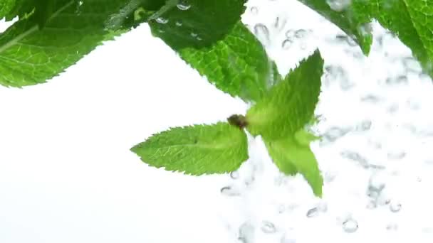 Cierre varias hojas de menta verde fresca flotando en agua transparente clara con burbujas de aire, vista lateral de ángulo bajo, cámara lenta
 - Metraje, vídeo