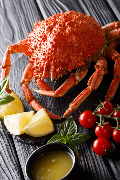 Délicieuse araignée de crabe servie avec du citron et du beurre fondu close-up
 - Photo, image