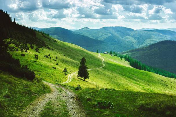 eine schöne Landschaft der Sommerberge, grüne Hänge der ukrainischen und rumänischen Karpaten, eine Straße am Hang zum Haus am Hang - Foto, Bild