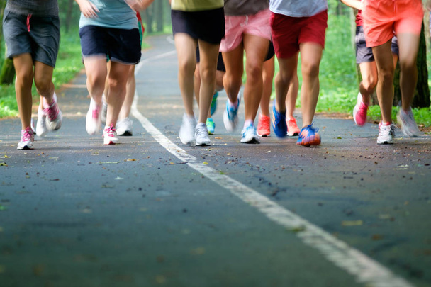 Atletas de grupo de pés fechados correndo maratona na floresta. Hora de verão. Conceito de saúde. Conceito de aptidão
. - Foto, Imagem