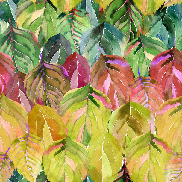 Lovely group of the autumn leaves like rainbow. Graphic bright floral herbal autumn orange yellow leaves pattern watercolor hand sketch. Perfect for textile, wallpapers, wrapping paper - Foto, afbeelding
