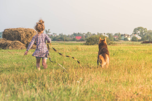 girl, child summer Sunny day walking the dog on a leash, shepherd on a green grassy meadow - Фото, зображення