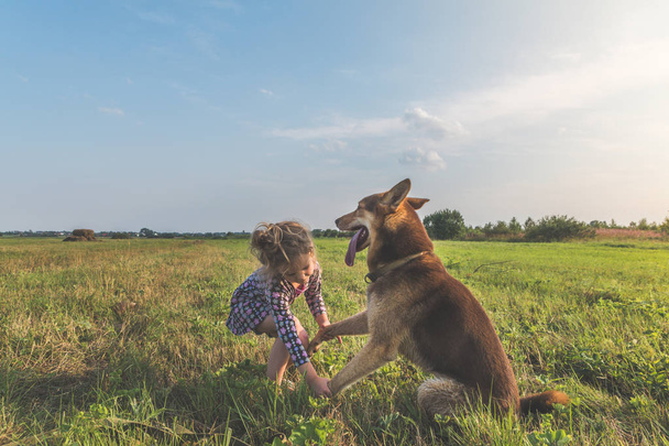 girl, child summer Sunny day walking the dog on a leash, shepherd on a green grassy meadow - Фото, изображение