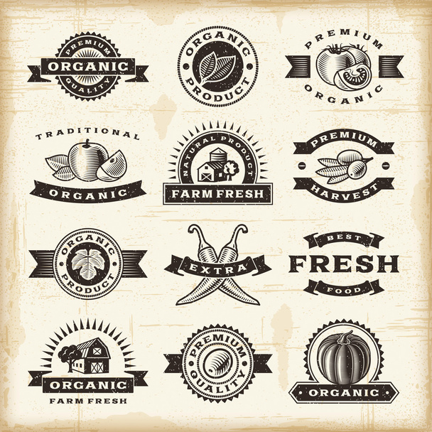 Set de sellos de cosecha ecológica vintage
 - Vector, imagen
