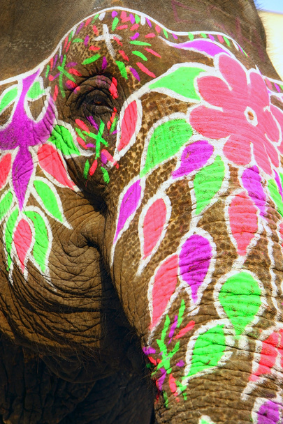 cabeça pintada de elefante
 - Foto, Imagem