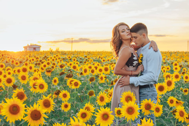 loving couple in field of sunflowers - Photo, Image