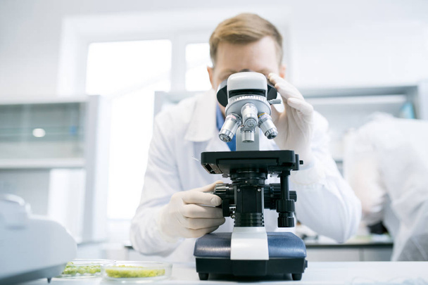 Científico masculino estudiando verduras verdes bajo el microscopio de pie en el escritorio con laboratorio blanco y microbiólogo sobre fondo borroso
 - Foto, Imagen