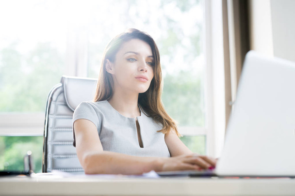 Portrait of beautiful businesswoman  working at desk in office and using laptop sitting against window in sunlight - Φωτογραφία, εικόνα