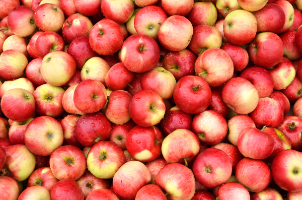 Pile de pommes rouges fraîches mûres, fond texturé
 - Photo, image