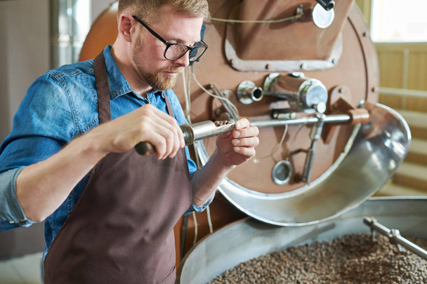 Pasa w górę portret nowoczesne młody człowiek ubrany w fartuch i okulary biorąc scoop ziaren kawy z pieczenia maszyny podczas pracy w artisan stworzylibyście, miejsce - Zdjęcie, obraz