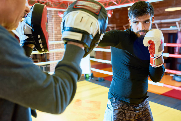 Hombre musculoso de confianza en guantes de boxeo con entrenador sosteniendo manoplas de enfoque mientras está de pie en el anillo
. - Foto, Imagen