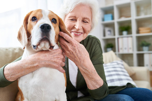Portrait of happy senior woman lovingly hugging pet dog and smiling while enjoying weekend at home sitting on comfortable couch in modern apartment with her furry friend. - Photo, Image