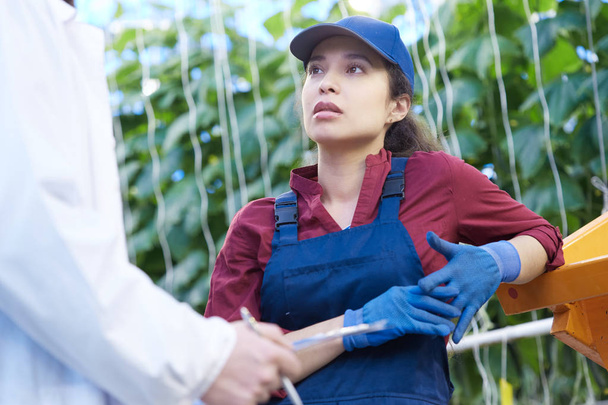 Fiatal nő beszélt felügyelő dolgozva üvegházhatást okozó modern növényi növény alacsony szögből készült portréja - Fotó, kép