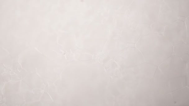 Filmación espuma blanca con burbujas rotar de cerca
 - Imágenes, Vídeo