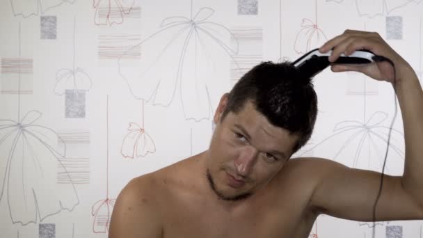 Στυλίστας κεφάλι Μεσινέζα διάτμησης - Πλάνα, βίντεο