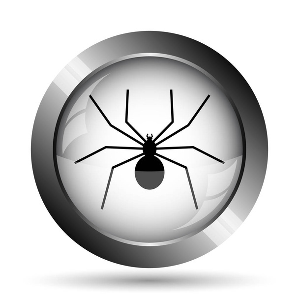 Spider icon - Фото, зображення