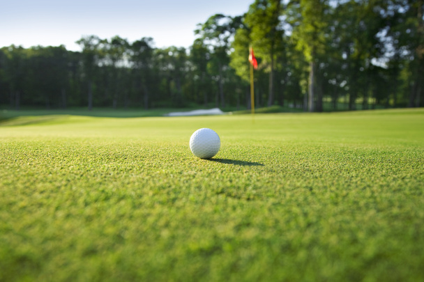Gros plan de la balle de golf sur vert
 - Photo, image