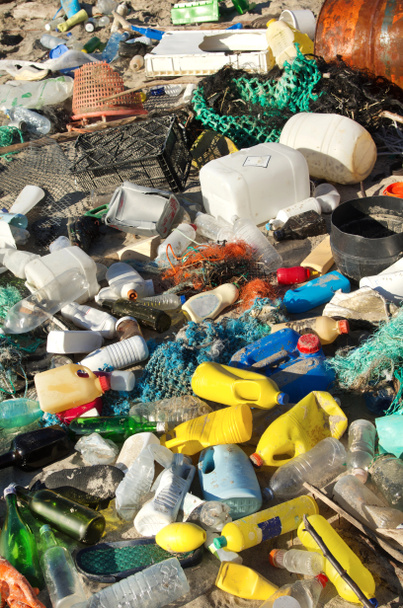 odpadky a odpady na pláži - Fotografie, Obrázek