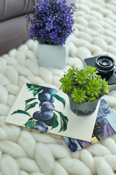 Very cozy picture for the autumn, September, October, November. Unusual beautiful, graceful flowers and plants in pots. Bouquet of blue, violet flowers and green succulent, cactus. Vintage camera. - Photo, Image