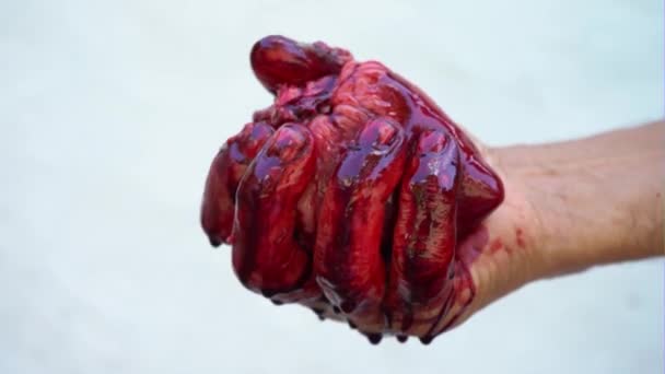 Una mano de hombre sostiene un corazón ensangrentado sobre un fondo blanco
 - Imágenes, Vídeo