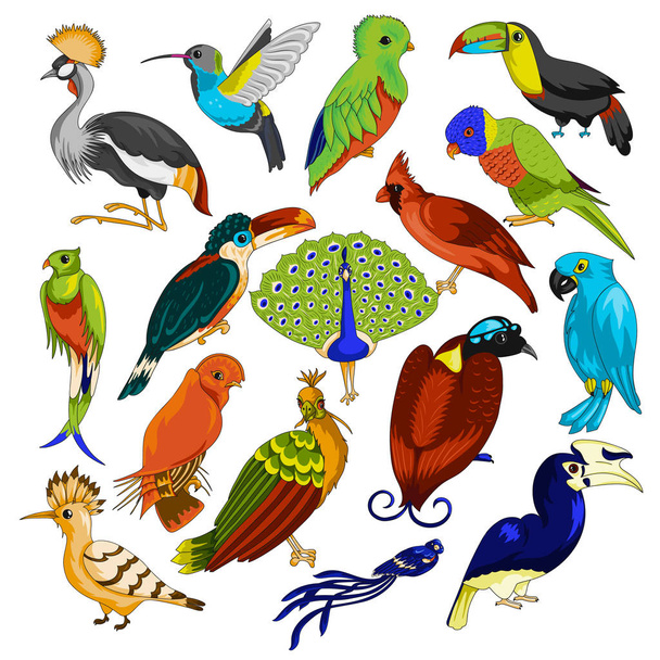 Grote reeks van exotische vogels - Vector, afbeelding