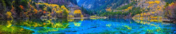 Panoráma, kristálytiszta víz, az öt virág tó (Multicolored) között őszi woods Jiuzhaigou jellegű (Jiuzhai Valley National Park), Kína. - Fotó, kép