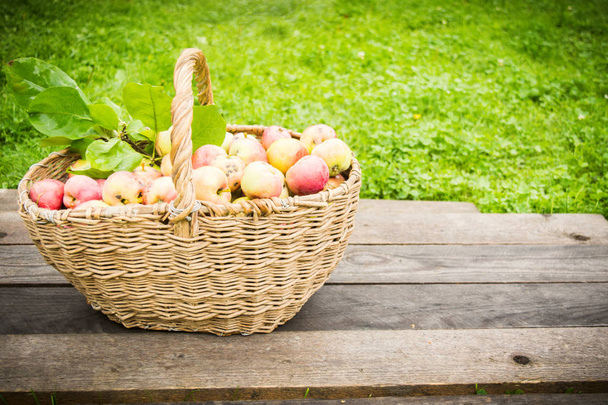 Manzanas ecológicas en cesta sobre fondo de madera con hierba con espacio para copiar
 - Foto, Imagen