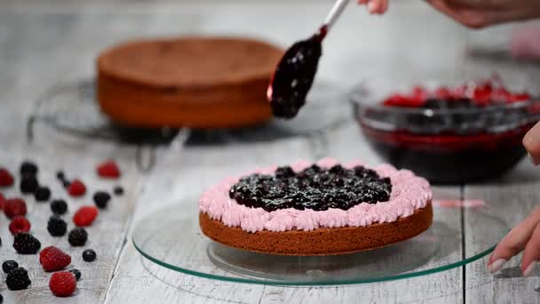 Preparing making chocolate cake with berries. Womans hand decorate cake. - Πλάνα, βίντεο